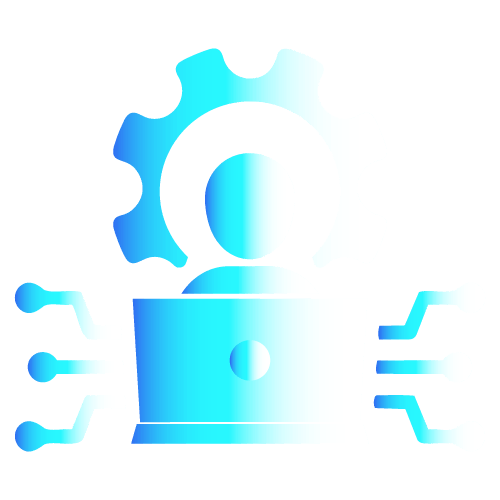 IT service providers